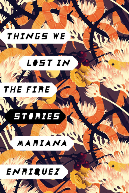 Things We Lost In The Fire: Stories